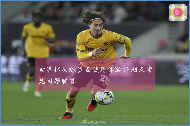 世界杯买球页面使用体验评测及常见问题解答
