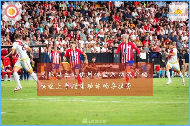 买球站主站使用体验及功能介绍，快速上手指南助你畅享服务