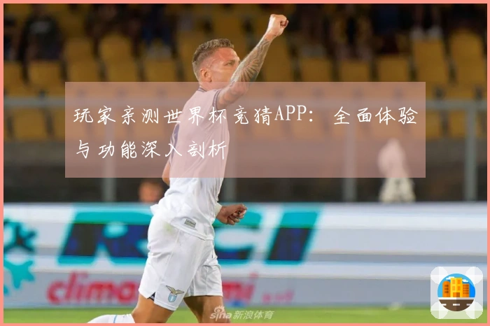 玩家亲测世界杯竞猜APP:全面体验与功能深入剖析