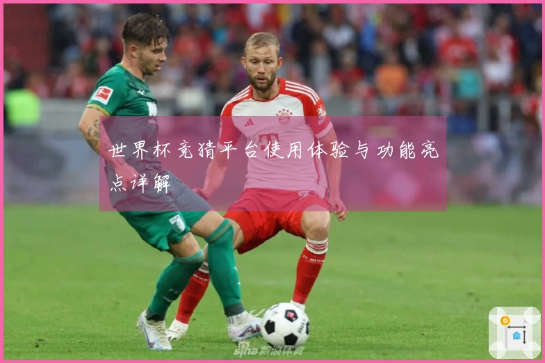 世界杯竞猜平台使用体验与功能亮点详解