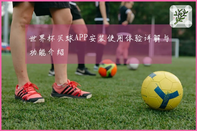 世界杯买球APP安装使用体验详解与功能介绍