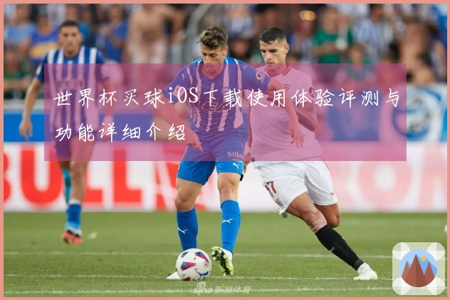 世界杯买球iOS下载使用体验评测与功能详细介绍
