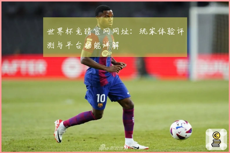 世界杯竞猜官网网址：玩家体验评测与平台功能详解