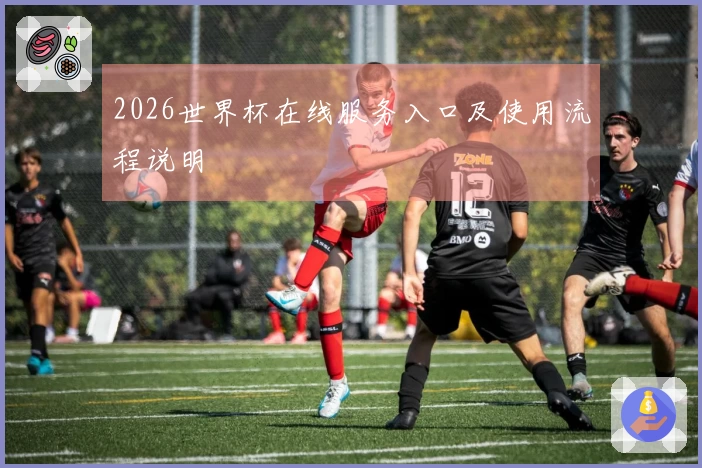 2026世界杯在线服务入口及使用流程说明