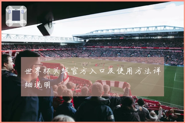 世界杯买球官方入口及使用方法详细说明
