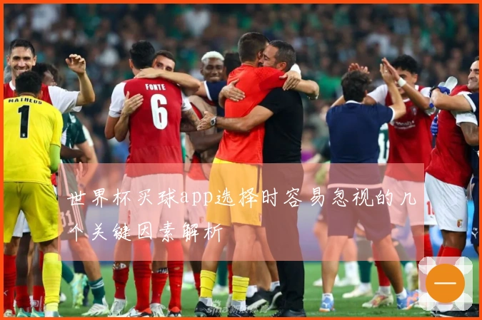 世界杯买球app选择时容易忽视的几个关键因素解析