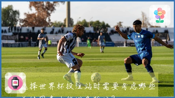选择世界杯投注站时需要考虑哪些关键因素才能避免踩坑？