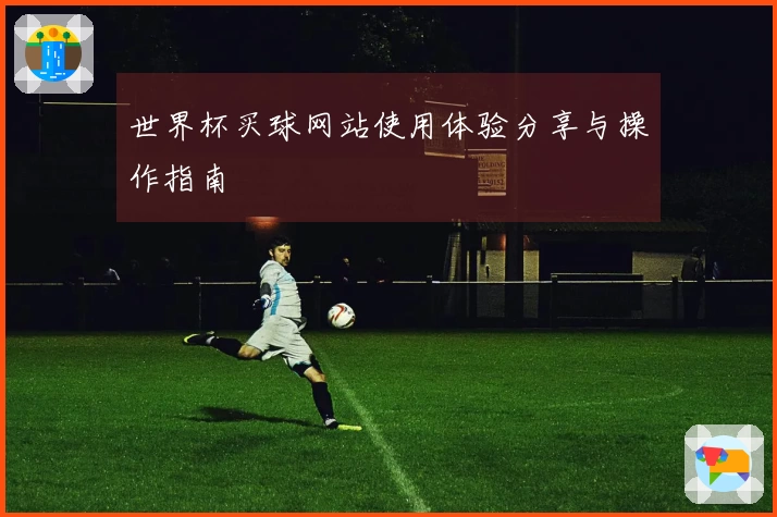 世界杯买球网站使用体验分享与操作指南