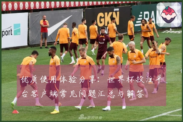 优质使用体验分享：世界杯投注平台客户端常见问题汇总与解答