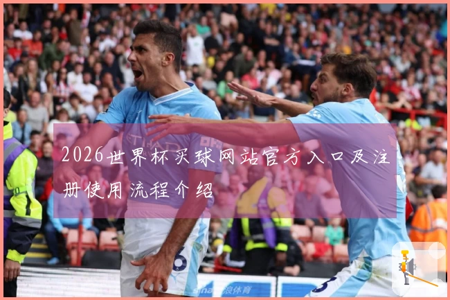2026世界杯买球网站官方入口及注册使用流程介绍