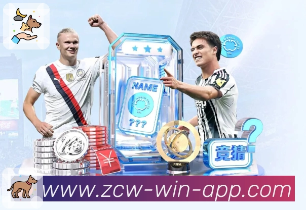 2026世界杯官方进入网址使用经验分享与常见问题汇总